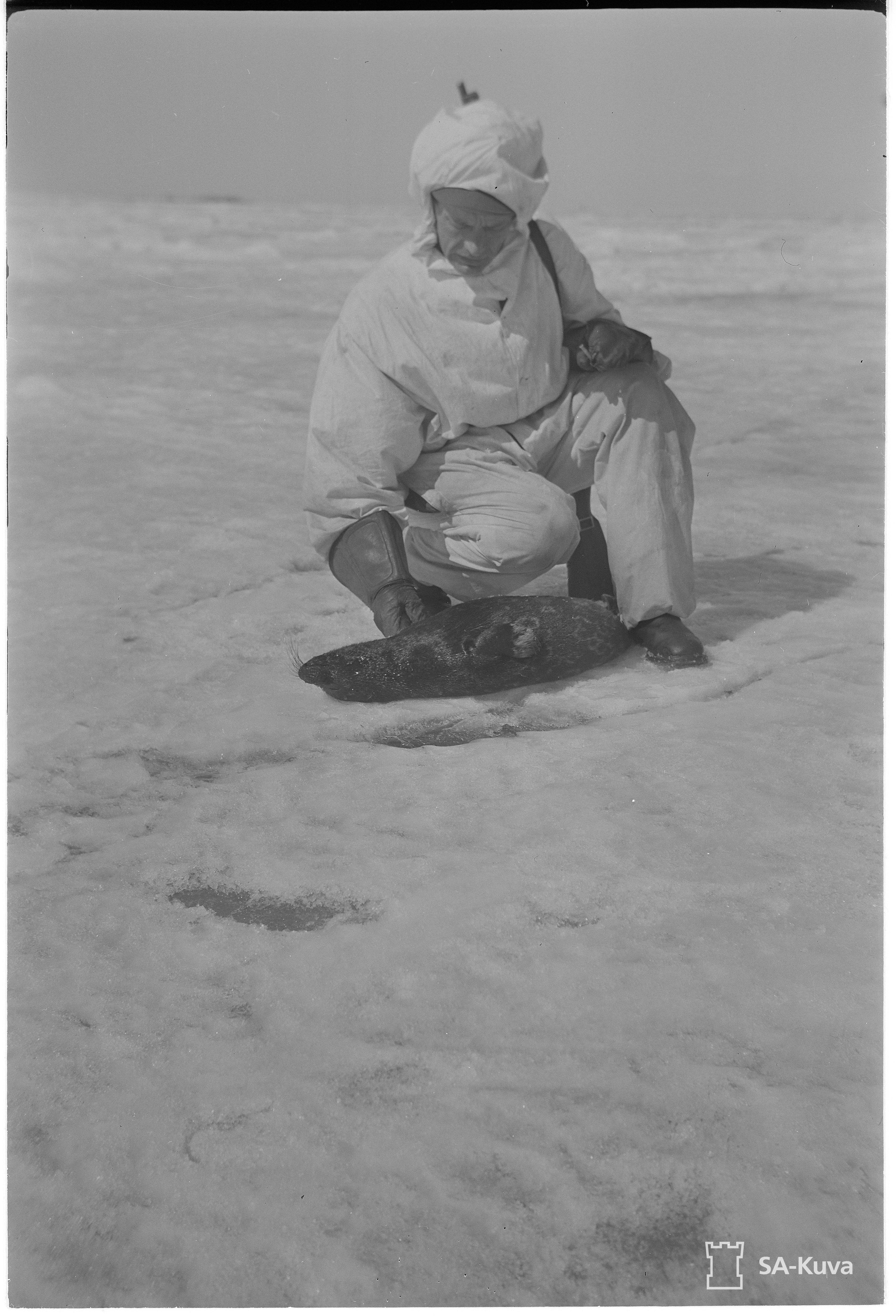 Iso karvainen pussie