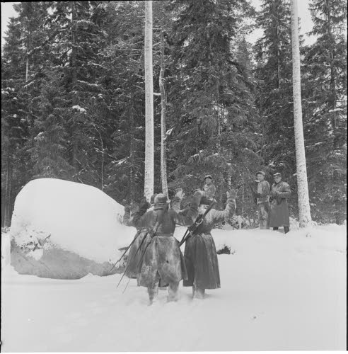 suomalaiset opettavat ryssää antautumaan Karvian sotavankileirillä.