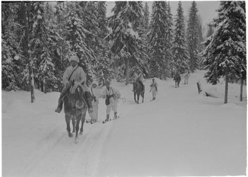 Hiihtopartio metsässä Venäjän rajalla Lieksan suunalla. (Inari.)