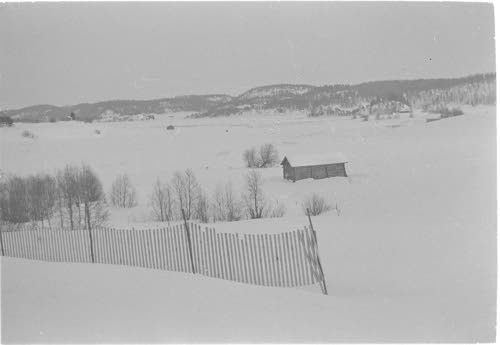 Kortela