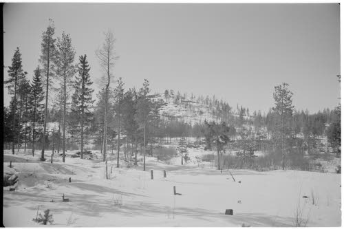 Viinamäki, vihollisen tukikohta, johon oli sijoitettu mm. suorasuuntaustykki.