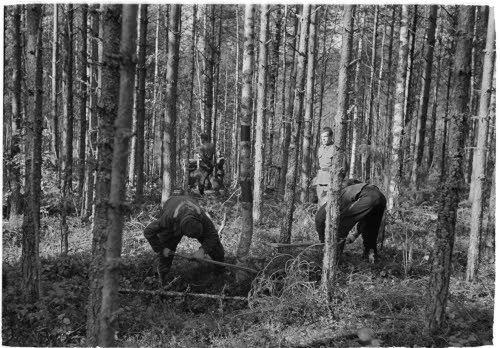 Metsätyöpiste Jaalassa, sotavankeja metsätöissä.
