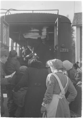 Suuret Punaisen Ristin autot kuljettavat evakkoja etelään.