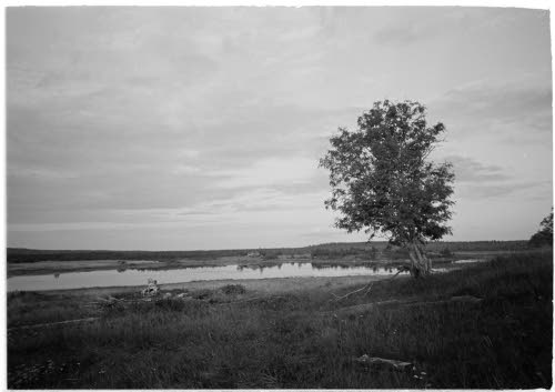 Kylän rakennukset ovat poltetut. Elokuu 1943.