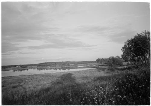 Kylän rakennukset ovat poltetut. Elokuu 1943.