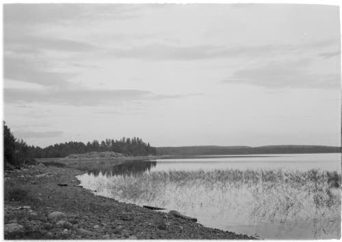 Alajärven kylä niemi, jossa kenttävartiomme vartiopaikka sijaitsee. Elokuu 1943.