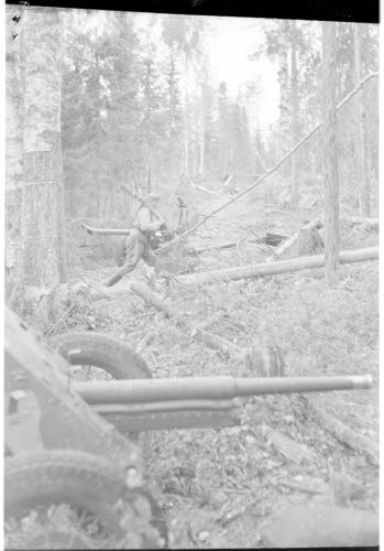Lehmivaaran ja Vellivaaran välisessä maastossa viholliselta vallattua sotasaalista. Näihin maastoihin sortui 176 vihollisen jalkaväkidivisioona.