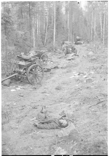 Näihin maastoi sortui 176. vihollisen jalkaväkidivisioona.