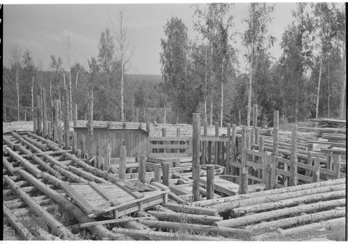 Venäläinen bunkkeri.