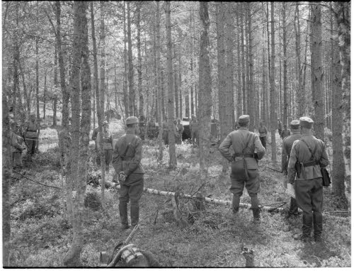 Teiskon poikia leiriytynyt metsään.