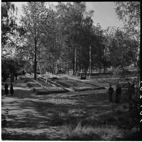 Sankarihautoja.