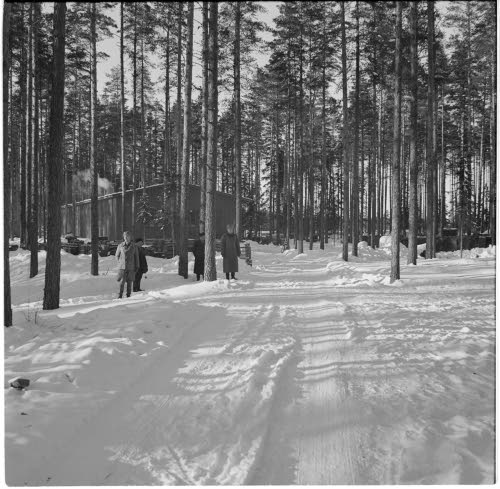 Inkoon ampumatarvikevarikko.