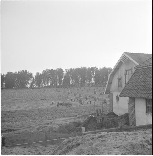 Kansanhuollon ja Topografikunnan henkilökunnat talkootöissä Vihdissä.