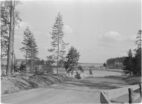 Punkaharjua