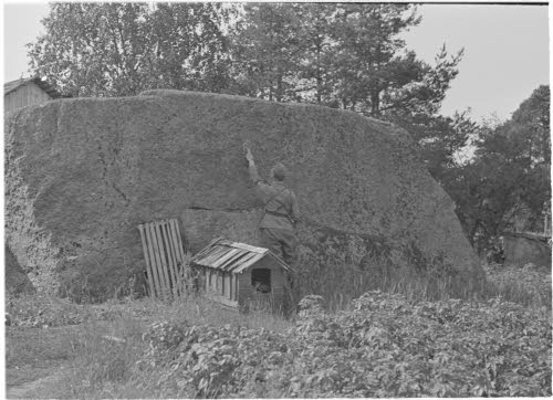 Vuoden 1721 rajakivi Virolahdella.