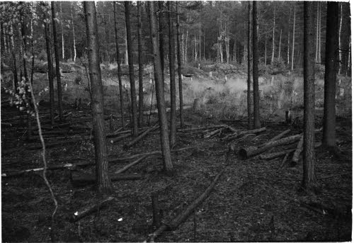 Venäläistä taisteluhautaa