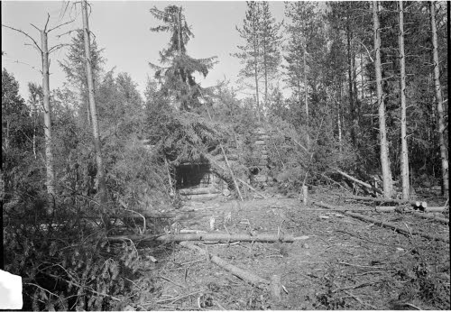 Tämä kaksikerroksinen hirsibunkkeri oli varustettu 1 suorasuuntatykillä ja 1 kk:lla. Tätä ei voitu kumminkaan puolustaa, kun suomalaiset hyökkäsivät sen takaa ja sivusta. (Bunkkerin oikealta puolelta on käytävä alakertaan.)