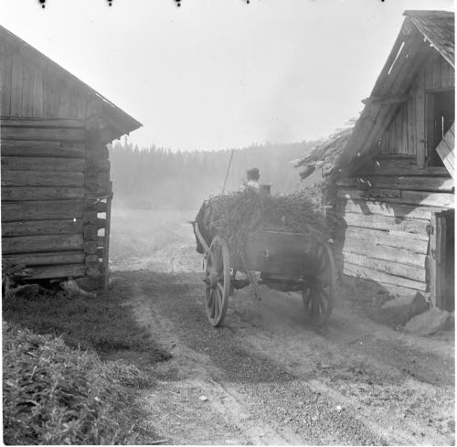 Kuormastoa kylätiellä.