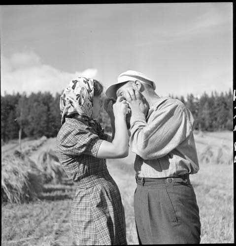 Sally Salminen elonkorjuutyössä