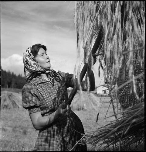 Sally Salminen yksin, nostaa lyhdettä