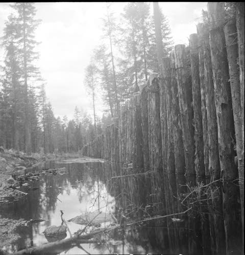 Rauhallinen metsälampi on tarkoitettu hyökkäysvaunujen joukkohaudaksi. Suomaaston pehmeyden vuoksi siitä on vaikea päästä yli edes siten, että yksi suuri tankki ajetaan esteeseen muille sillaksi