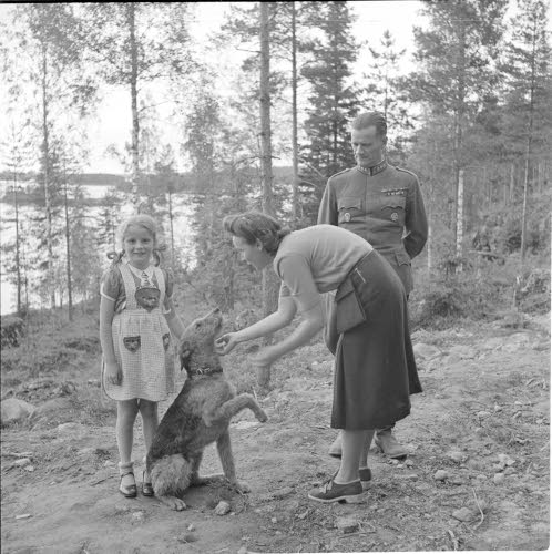 Kuvia "Ritva Aron rykmentin komentoryhmästä". Eversti ja rouva Maskula, pikkulotta Maija-Liisa Maskula ja karkeakarvainen taistelulähetti Priha.